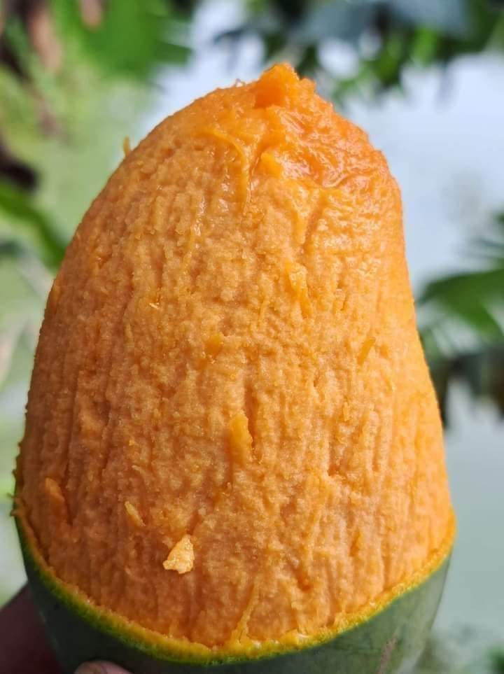 448736608_860743812748654_4405291213040386545_n