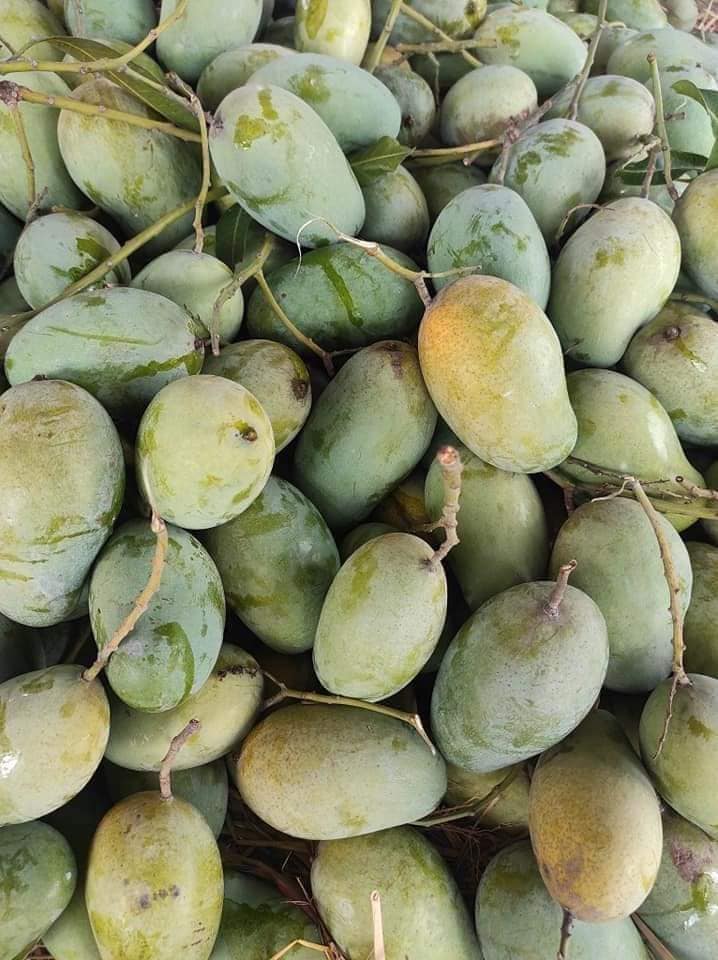 448743632_860743702748665_2803278216045527861_n