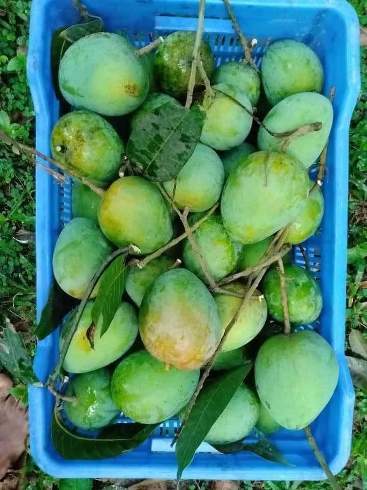 449091168_863902375766131_1067100713828028628_n