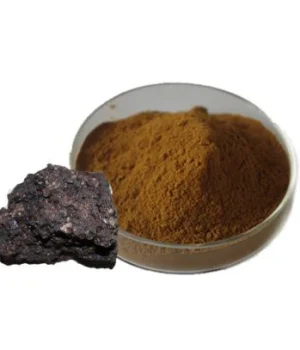 shilajit-extract54541229893-r28lq6wnckn4lhs9s4zvncpck6z35h5n8649ys58z0.webp